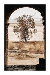 Framed Tree Poster