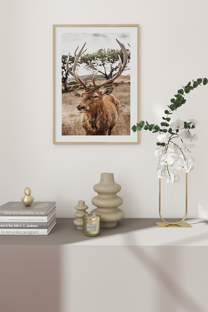 Brown Elk Close Up Poster