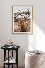 Brown Elk Close Up Poster
