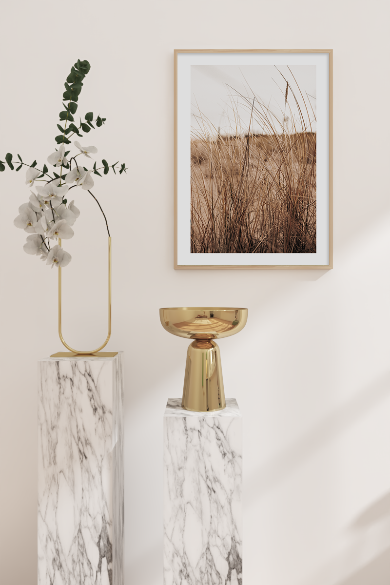 Brown Dry Grass Close-up Poster