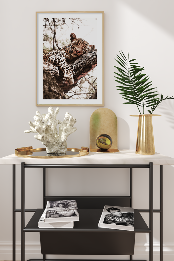Sleeping Leopard Poster