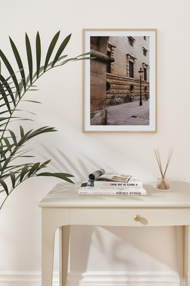 Glimpse of the Street Photo Poster