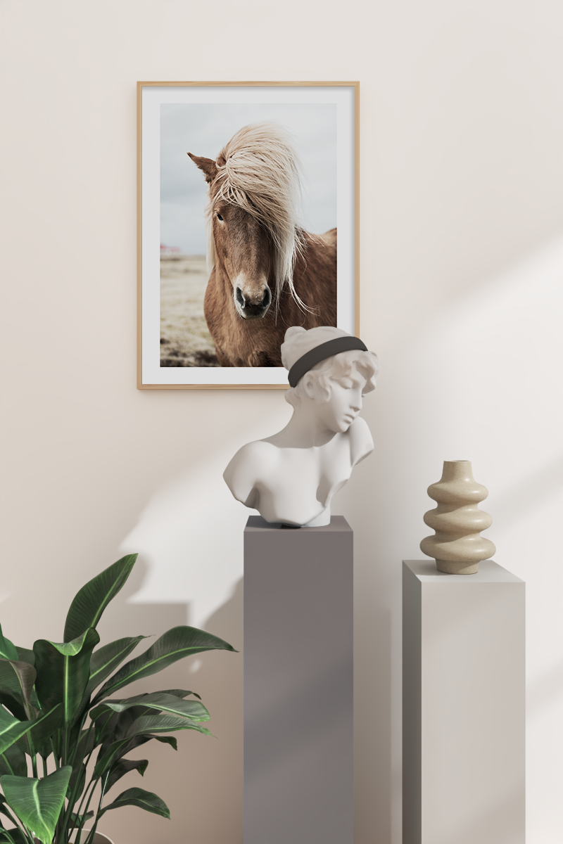 A Handsome Horse Poster