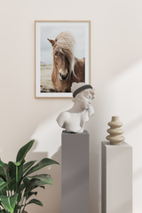 A Handsome Horse Poster