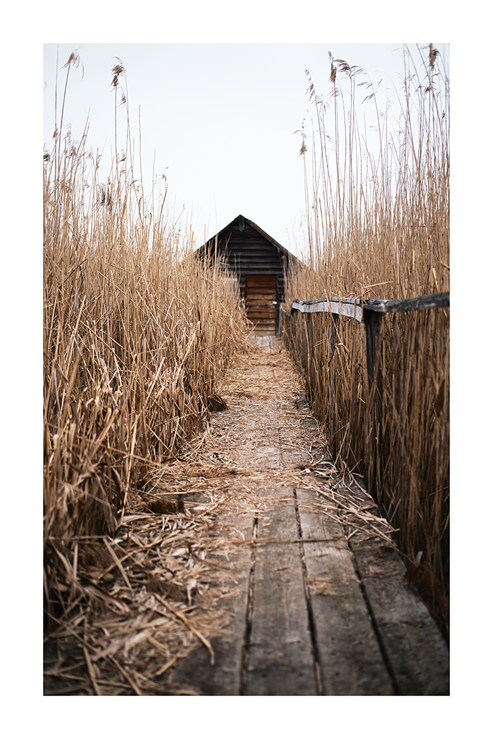 A Bridge to Cottage Poster