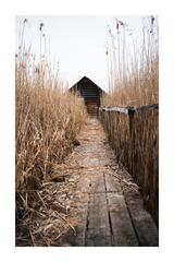 A Bridge to Cottage Poster