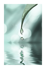 Waterdrop Poster