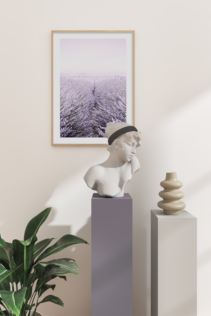 A Field of Lavender Poster