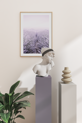 A Field of Lavender Poster