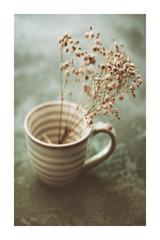 Dried Flowers in a Cup Poster