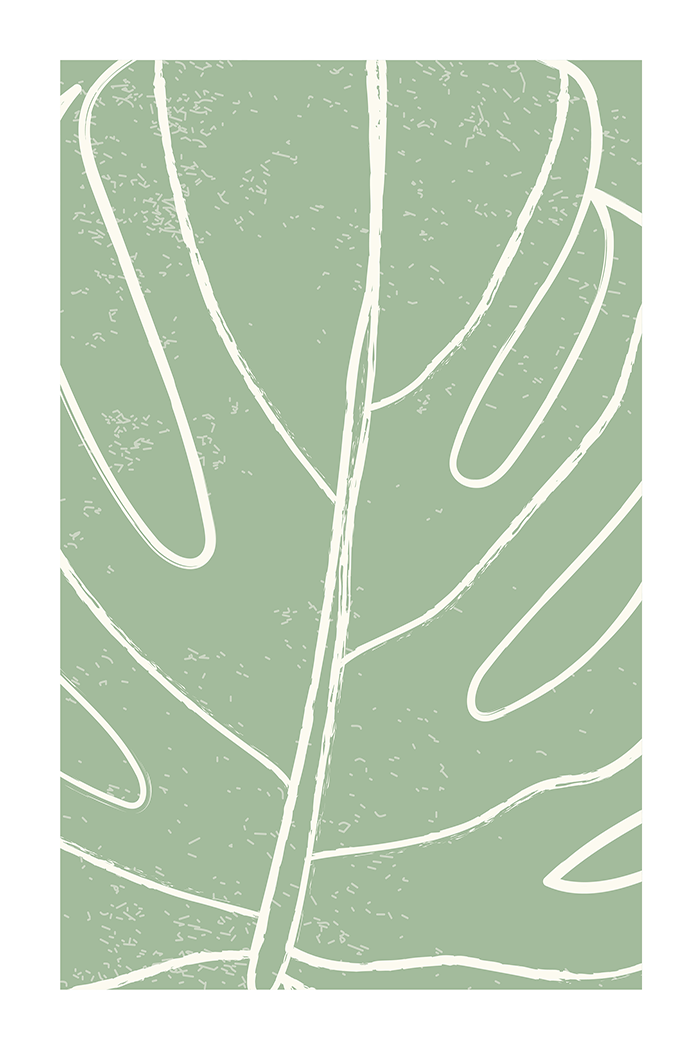 Monstera Line Art Poster