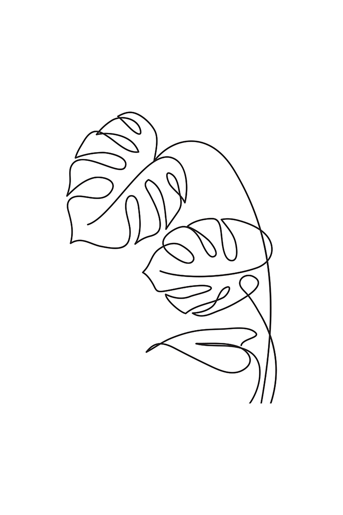 Palm Leaf Line Art