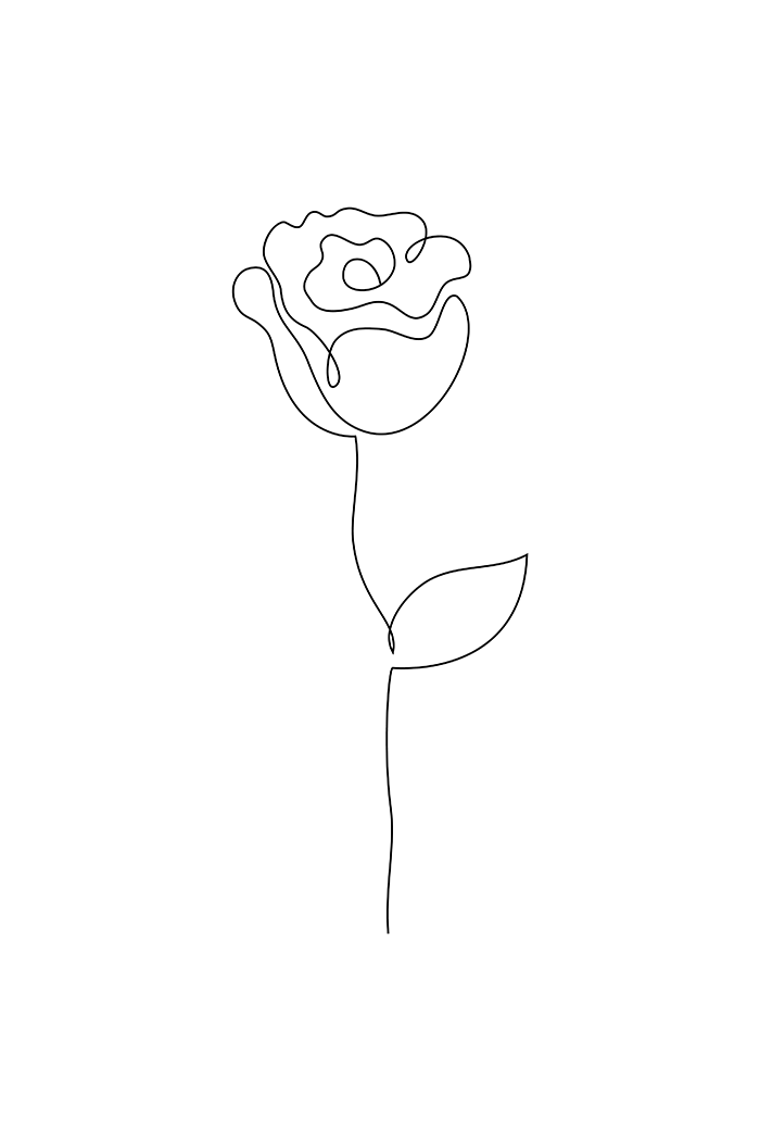 Rose Line Art No.2