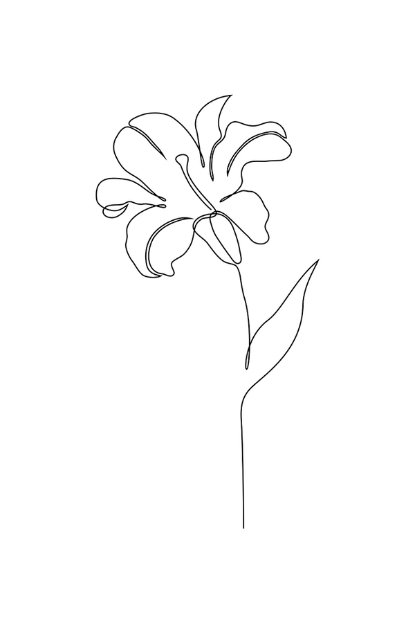Flower One Line Art