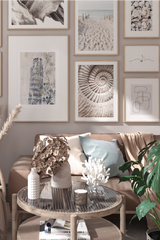 Ammonite Fossil Poster