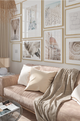 Ammonite Fossil Poster