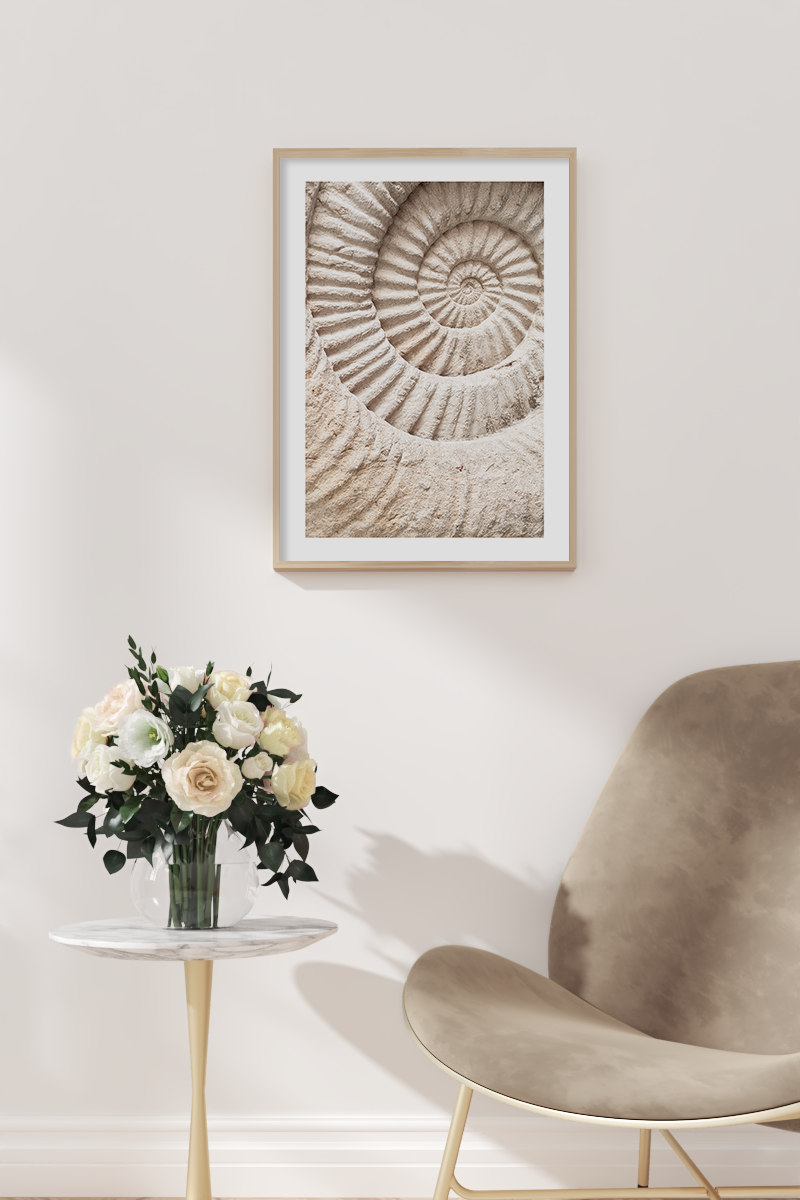 Ammonite Fossil Poster