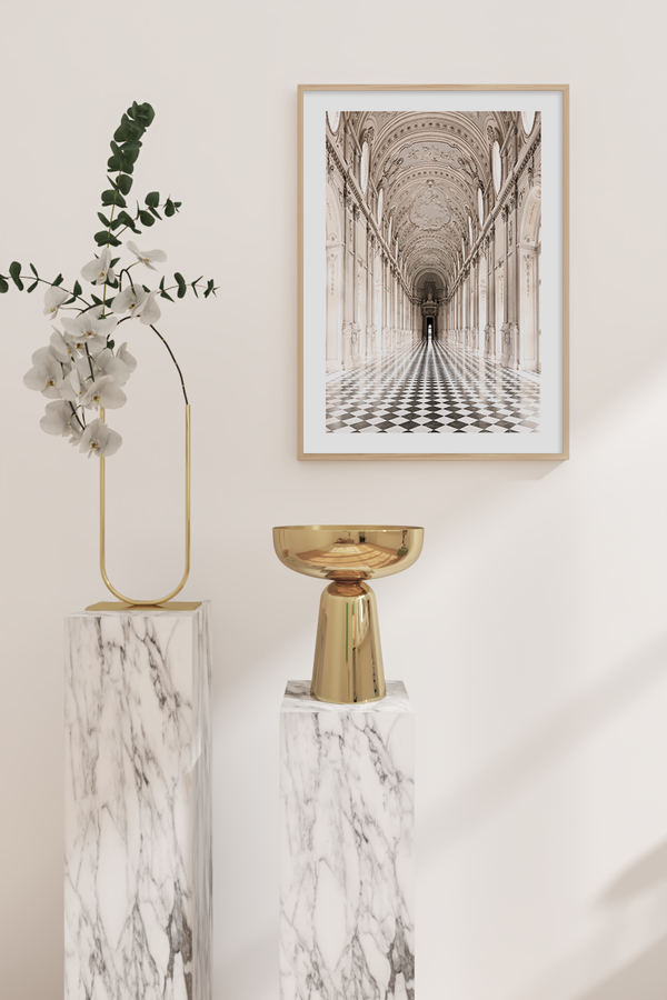Palace of Venaria Poster