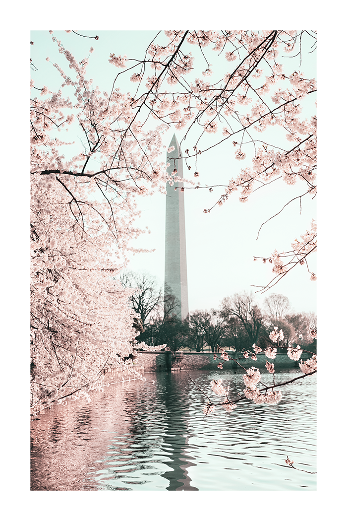 Washington Monument Poster