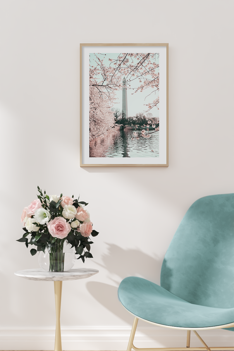 Washington Monument Poster