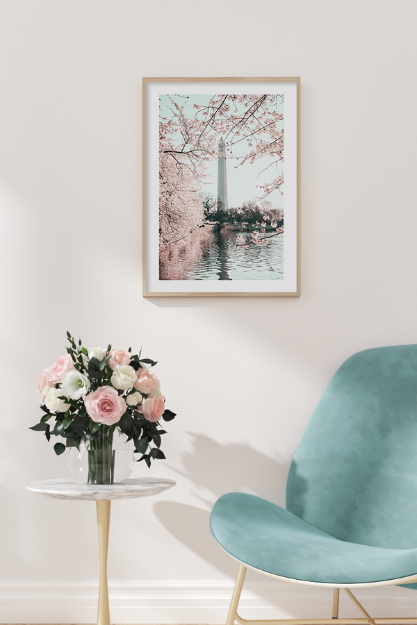 Washington Monument Poster