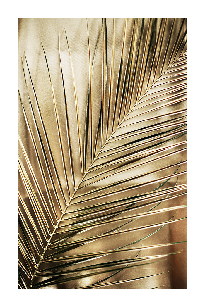 Golden Palm Poster