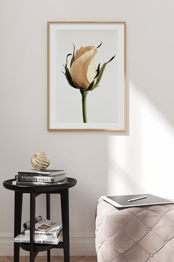 Yellow Rose Bud Poster
