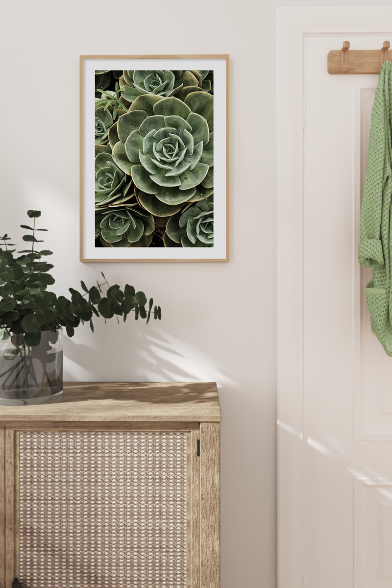 Green Succulents Poster