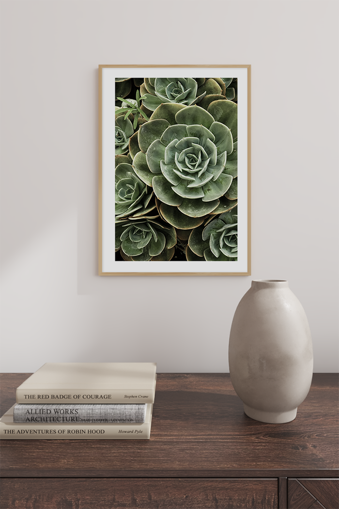 Green Succulents Poster
