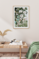 Pastel Flower Poster