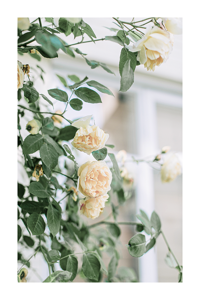 Pastel Flower Poster No.2