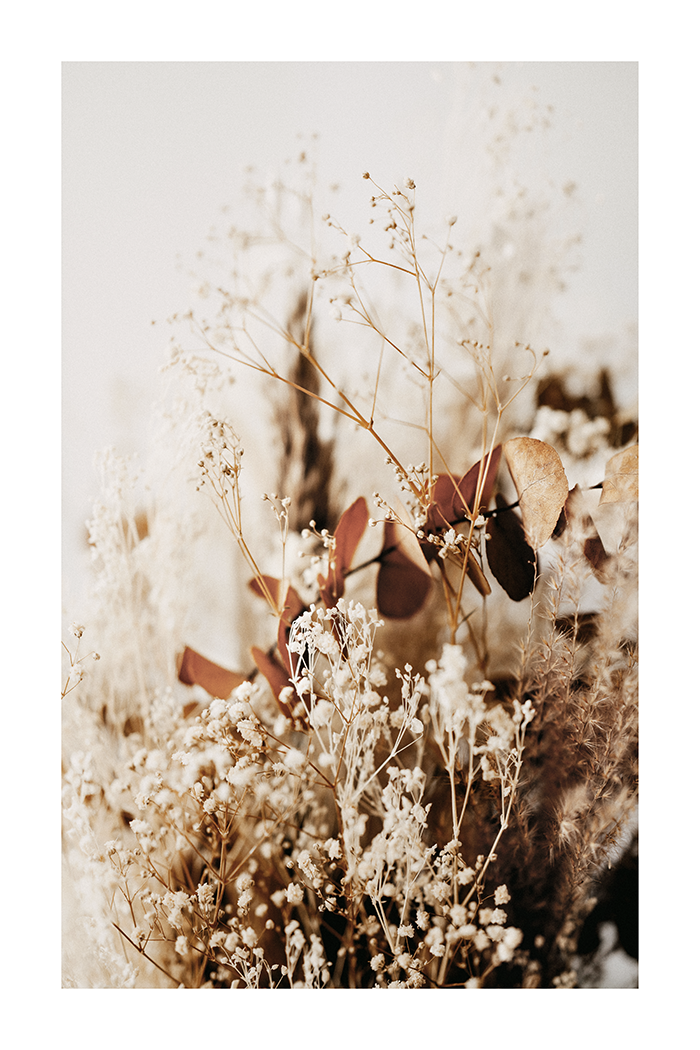 Arranged Dry Flower Poster No.2
