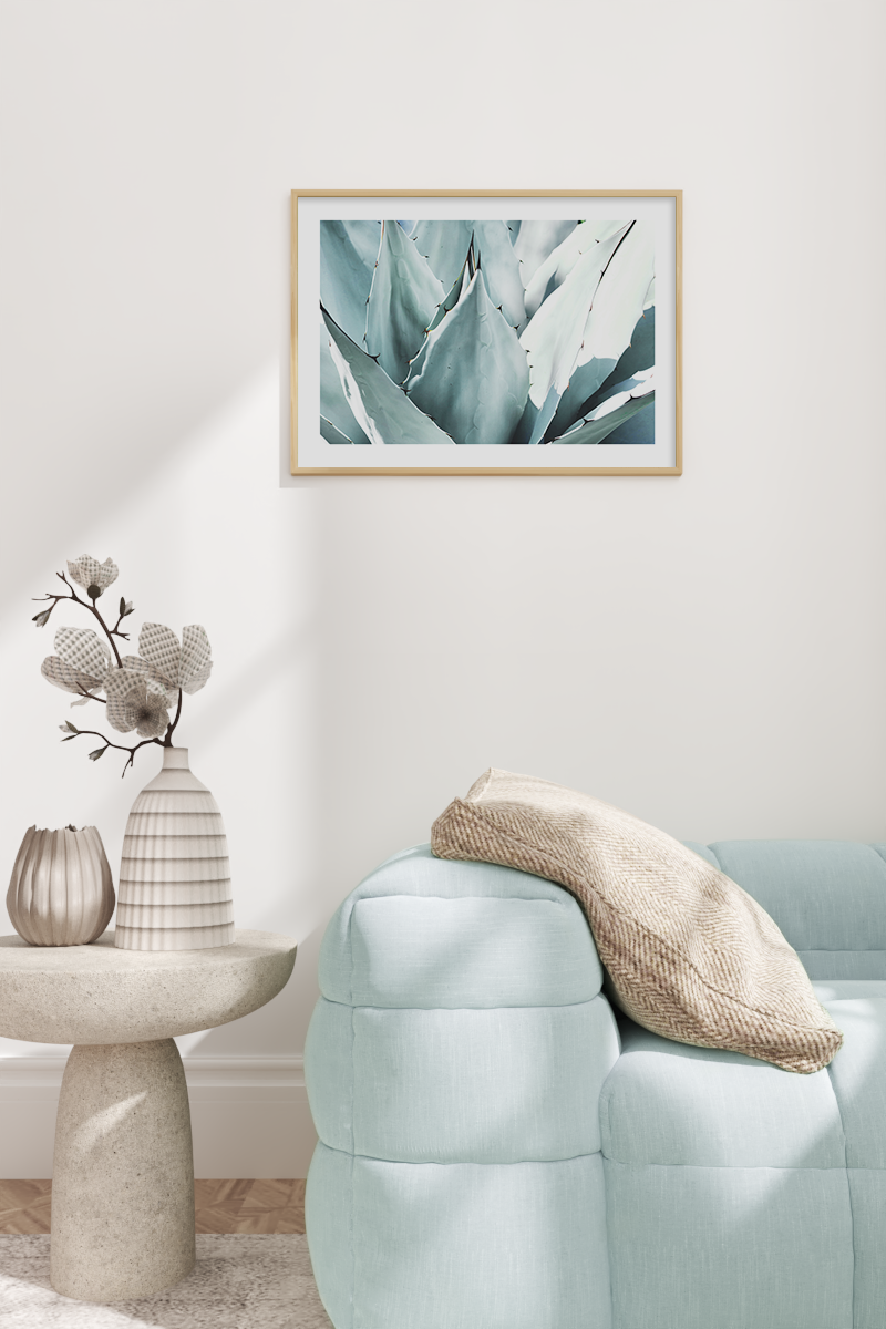Succulent Photo Poster No.2