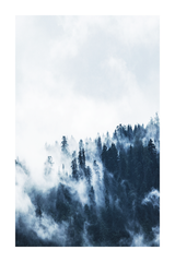 Blue Misty Forest Poster