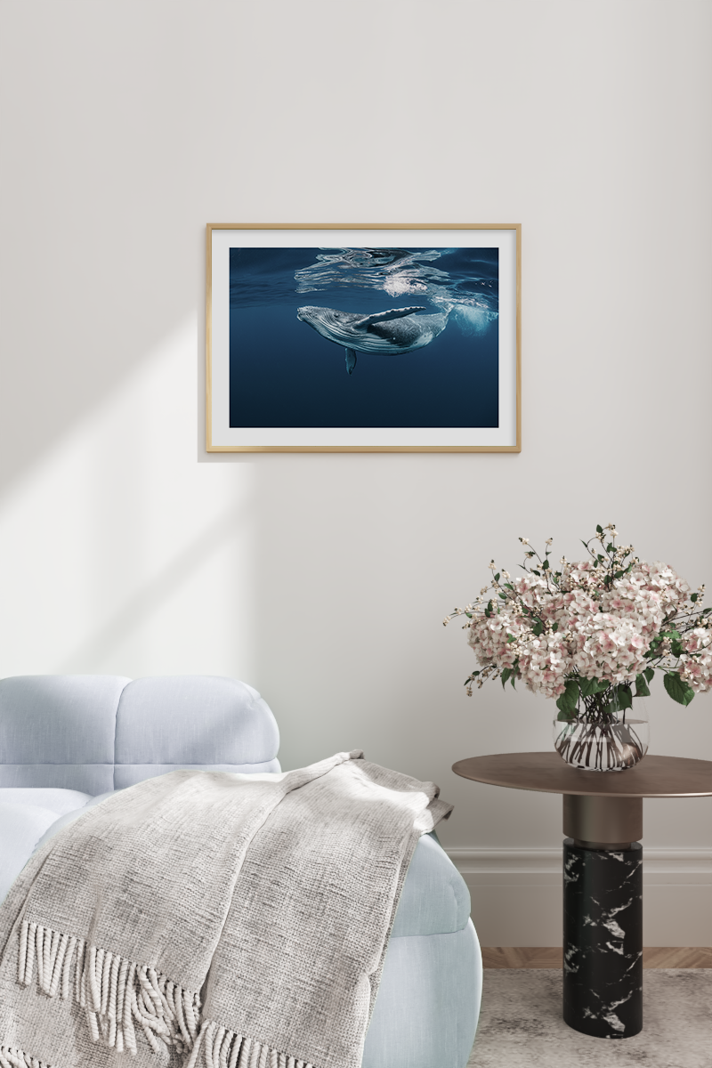 Whale Poster