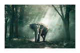 Lonely Elephant Poster No.2