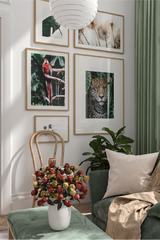 A Monstera Poster