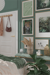 A Monstera Poster