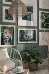 Parrot Picture Poster
