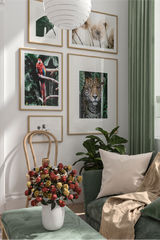 Tiger Close Up Poster