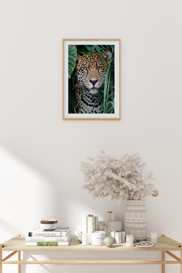 Tiger Close Up Poster