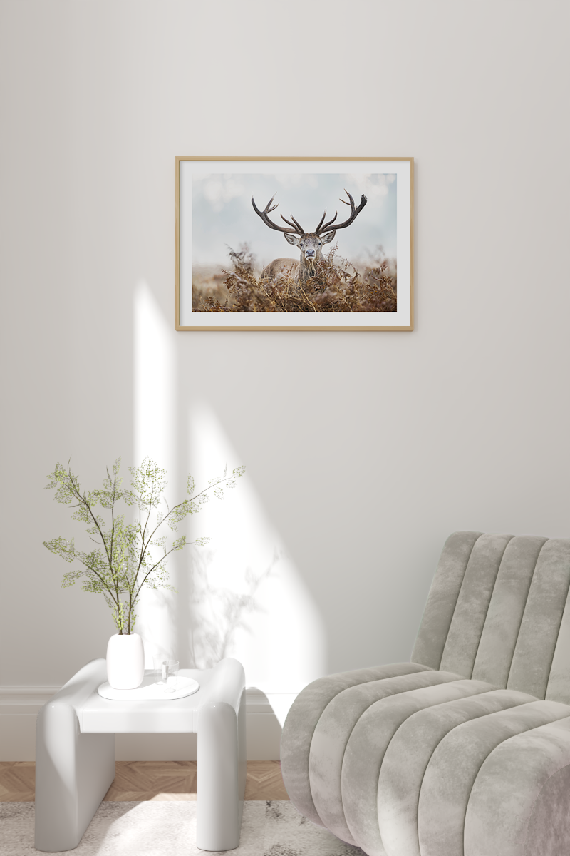 Deer Poster