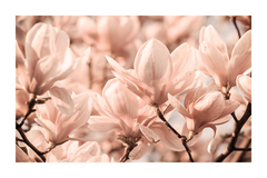 A Bunch of Pink Flower Poster