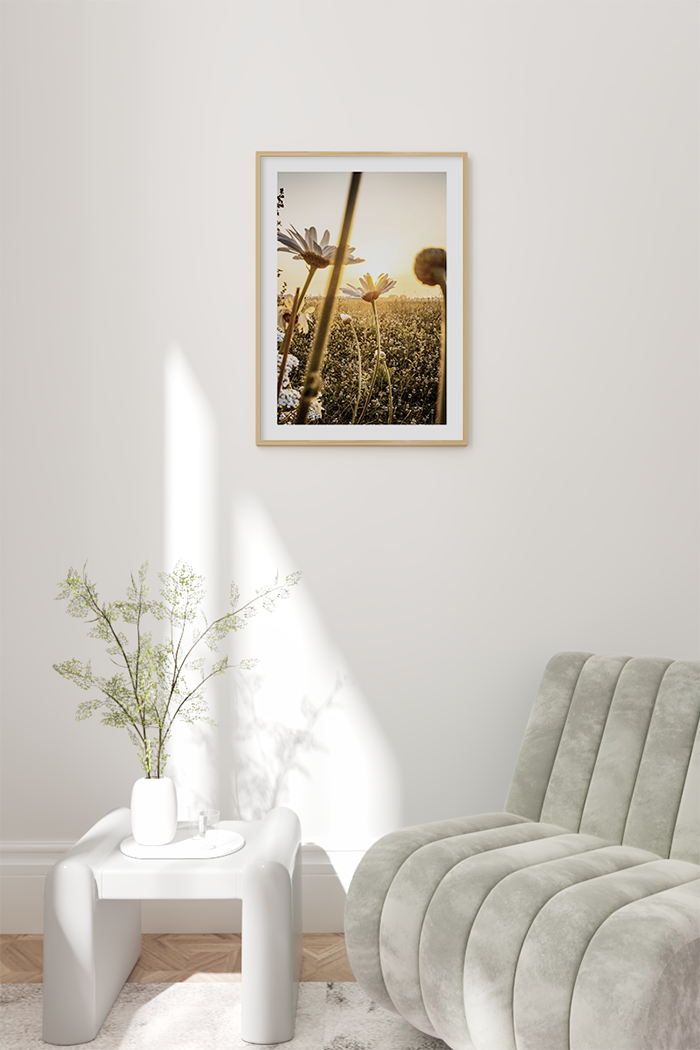Sunset Daisy Poster