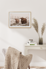 Two Highland Cow Poster