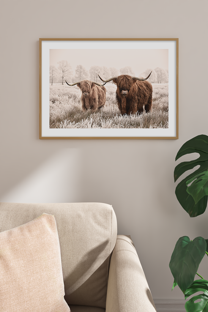 Two Highland Cow Poster