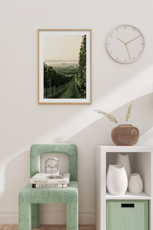Vineyard Photo Poster