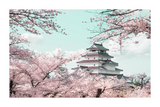 Japanese Cherry Blossoms Poster