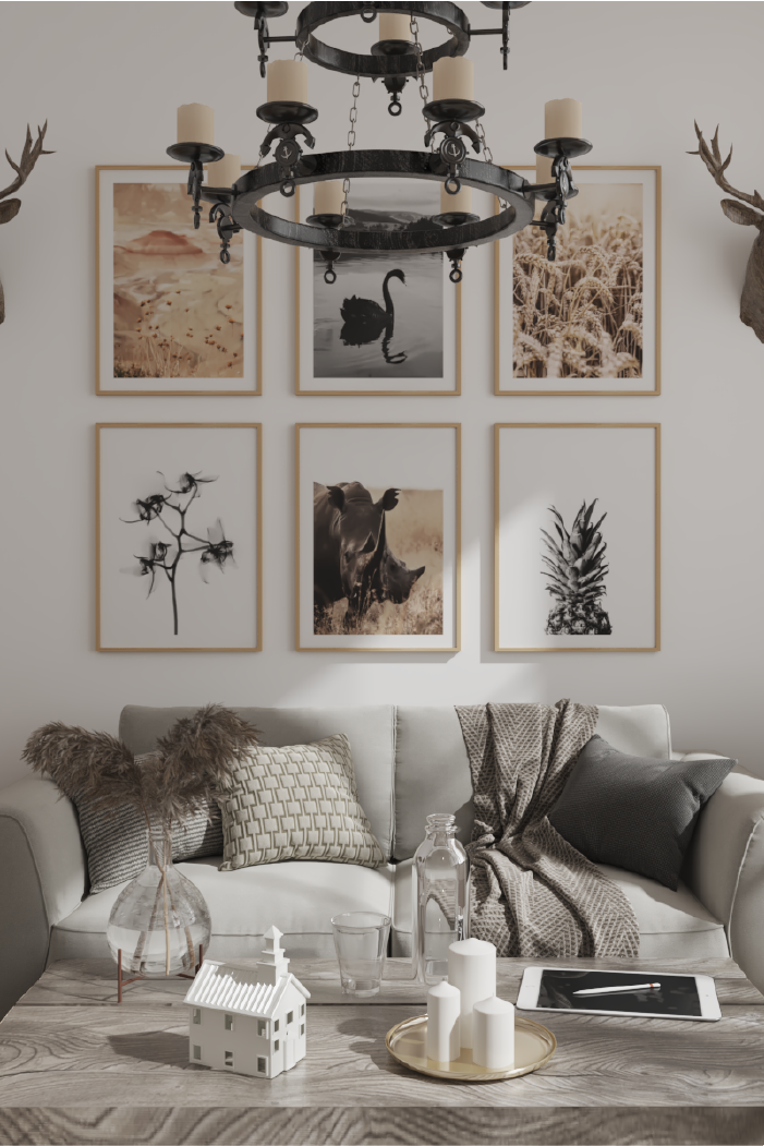 Black Rhino Poster