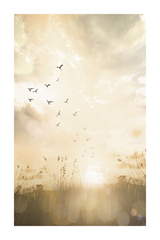 Flying Bird Golden Sunset Photo Poster